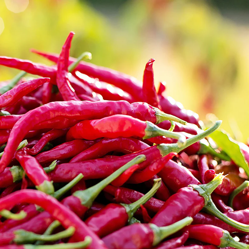 Cayenne Pepper Extract